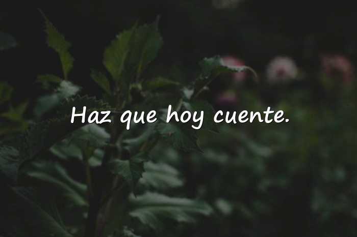 Imágenes buen día frases - 9
