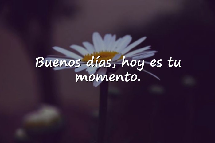 Imágenes buen día frases - 5