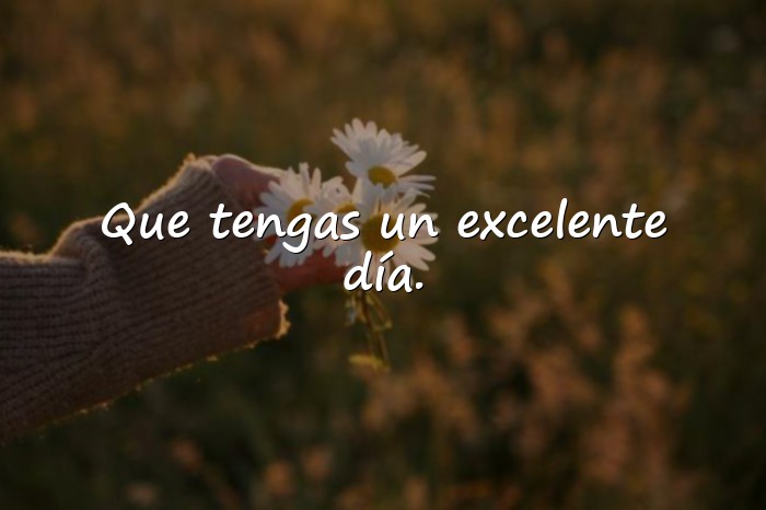 Imágenes buen día frases - 1