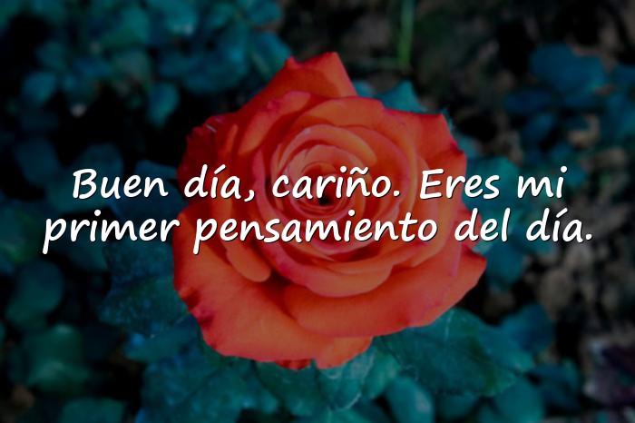 Imágenes buen dia mi amor - 16