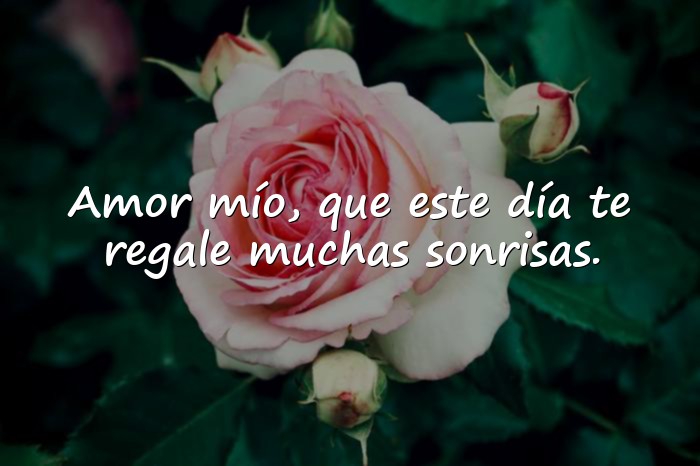 Imágenes buen dia mi amor - 11