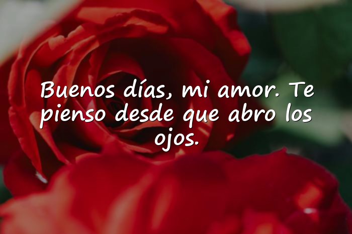 Imágenes buen dia mi amor - 6