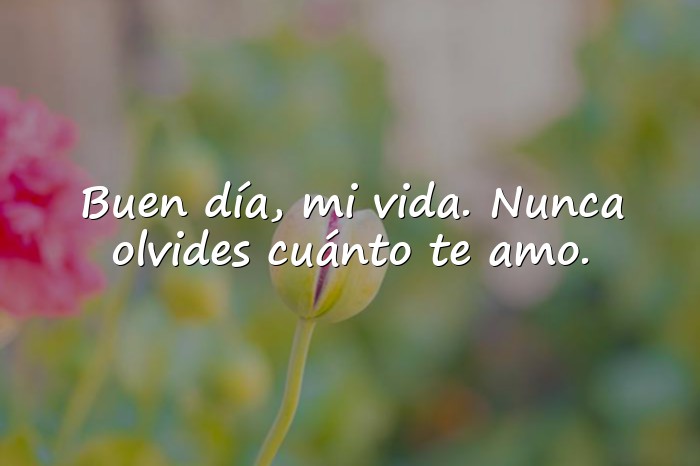 Imágenes buen dia mi amor - 1