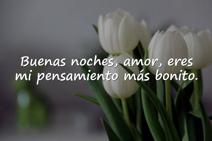 Imágenes buenas noches amor - 6