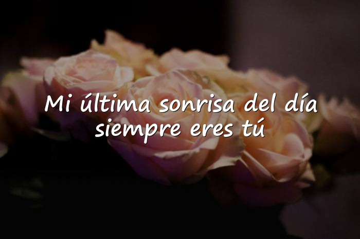 Imágenes buenas noches amor - 1