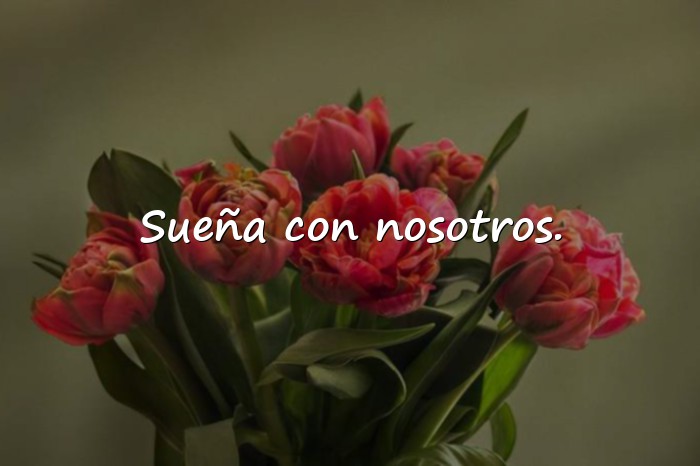 Imágenes buenas noches amor de mi vida - 16