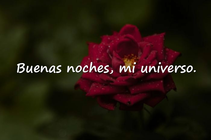 Imágenes buenas noches amor de mi vida - 13