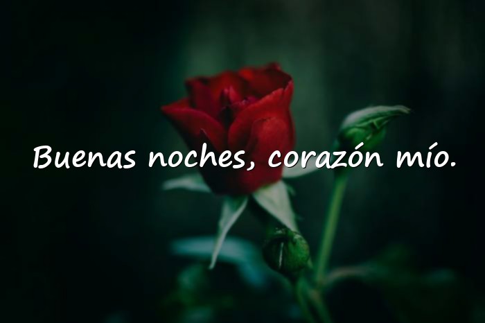 Imágenes buenas noches amor de mi vida - 12