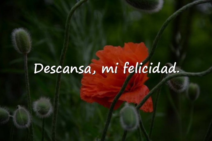 Imágenes buenas noches amor mio - 2
