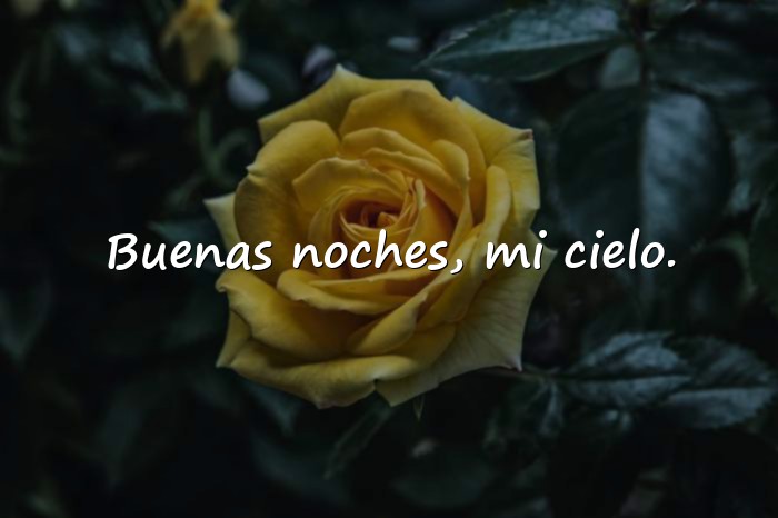 Imágenes buenas noches amor mio - 20