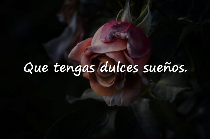 Imágenes buenas noches amor mio - 16