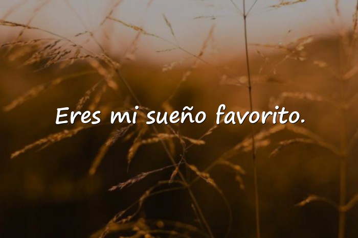 Imágenes buenas noches amor mio - 13
