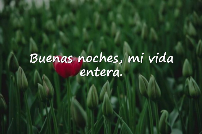 Imágenes buenas noches amor mio - 7