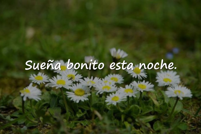Imágenes buenas noches amor mio - 4