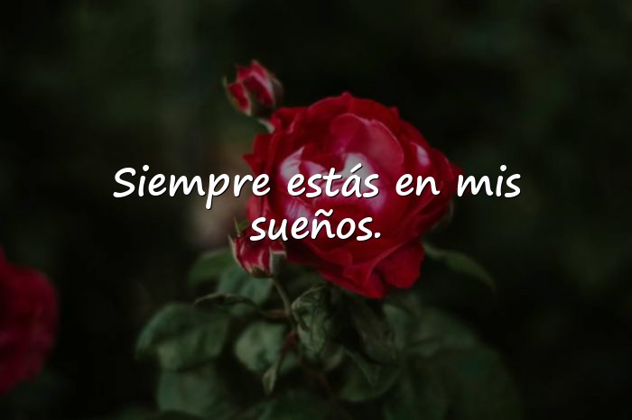 Imágenes buenas noches amor mio - 1