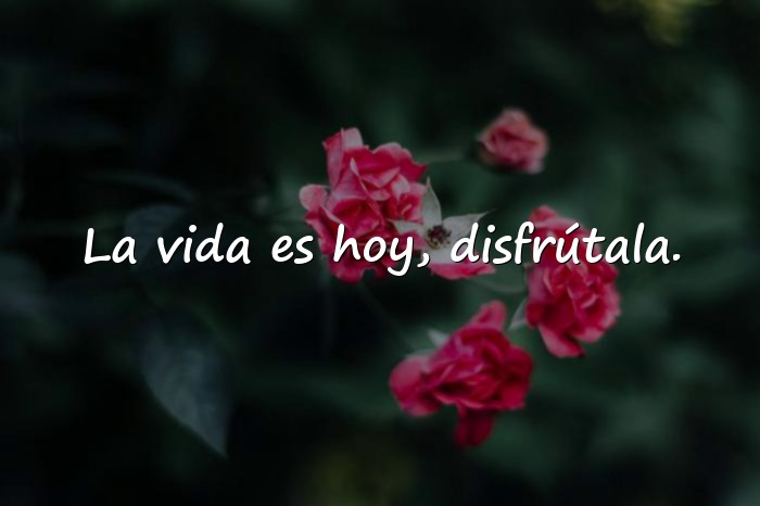 Imágenes buenos días frases positivas - 17