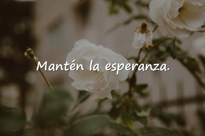 Imágenes buenos días frases positivas - 2