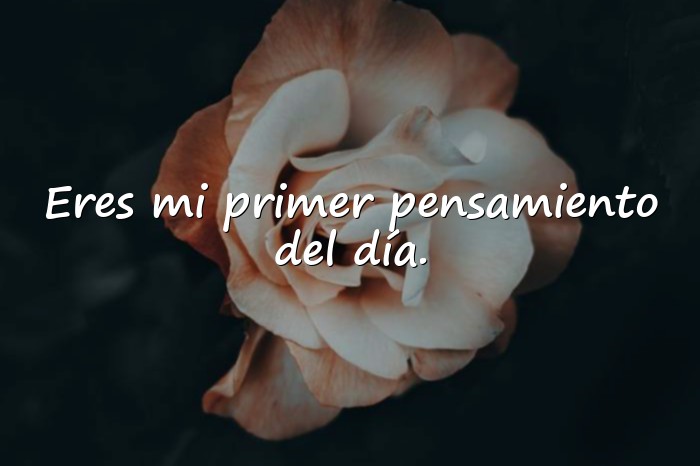 Imágenes buenos días mi amor whatsapp - 7