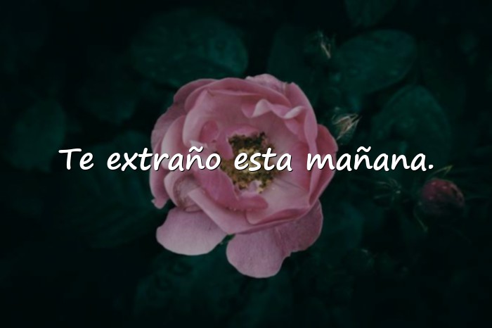 Imágenes buenos días mi amor whatsapp - 2