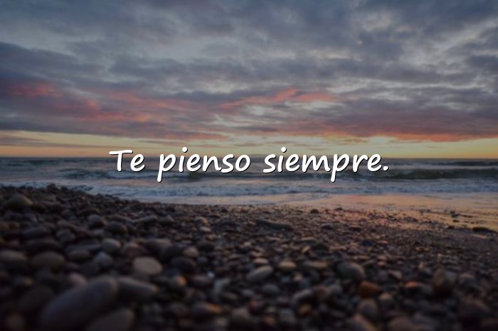 Imágenes buenos días mi amor whatsapp - 24
