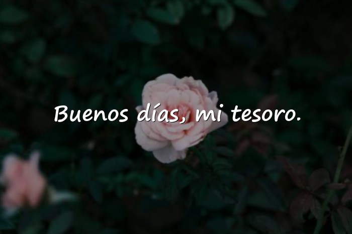 Imágenes buenos días mi amor whatsapp - 21