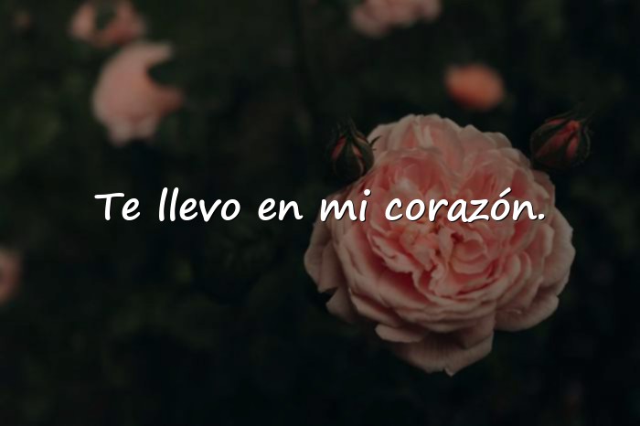 Imágenes buenos días mi amor whatsapp - 14