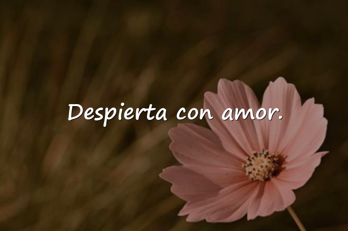 Imágenes buenos días mi amor whatsapp - 8