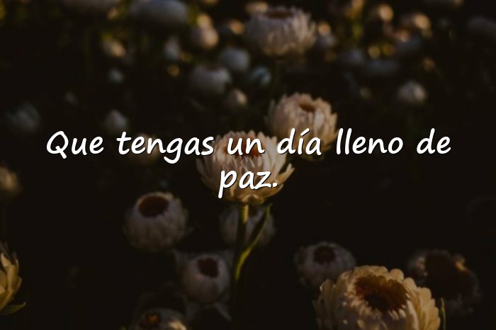 Imágenes buenos días mi amor whatsapp - 4