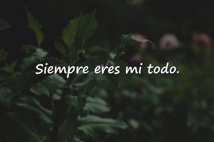 Imágenes buenos días mi amor whatsapp - 1