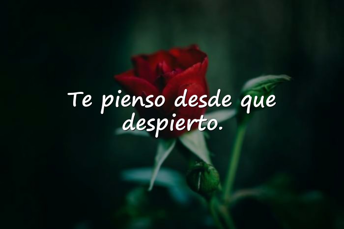 Imágenes buenos dias amor de mi vida - 14