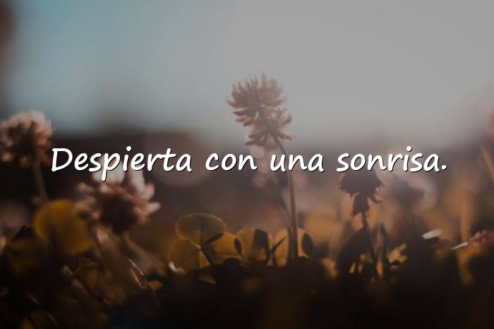 Imágenes buenos dias amor de mi vida - 13