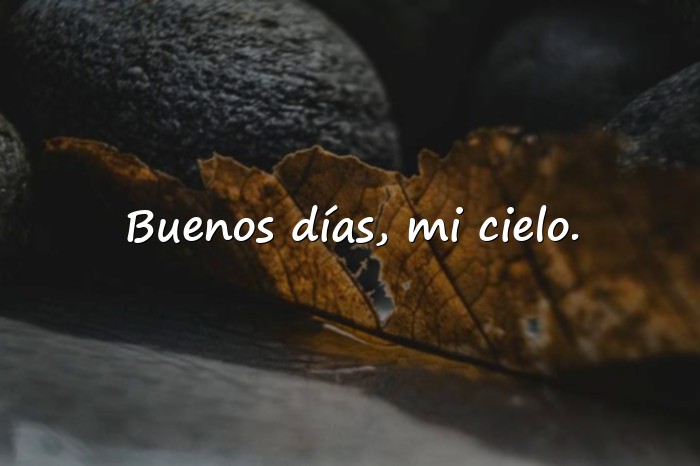 Imágenes buenos dias amor de mi vida - 11