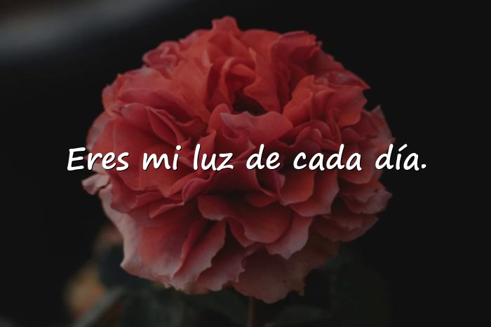 Imágenes buenos dias amor de mi vida - 7