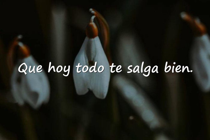 Imágenes buenos dias amor de mi vida - 6