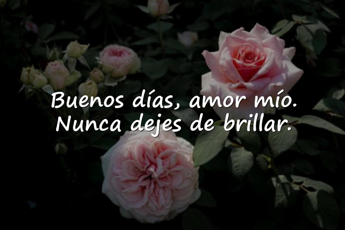 Imágenes buenos dias amor mio - 1