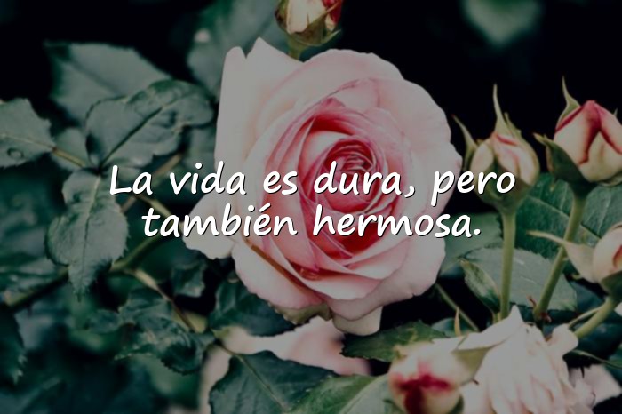 Imágenes bukowski frases - 21