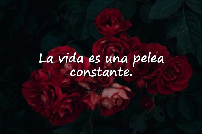 Imágenes bukowski frases - 11