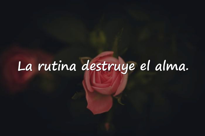 Imágenes bukowski frases - 21