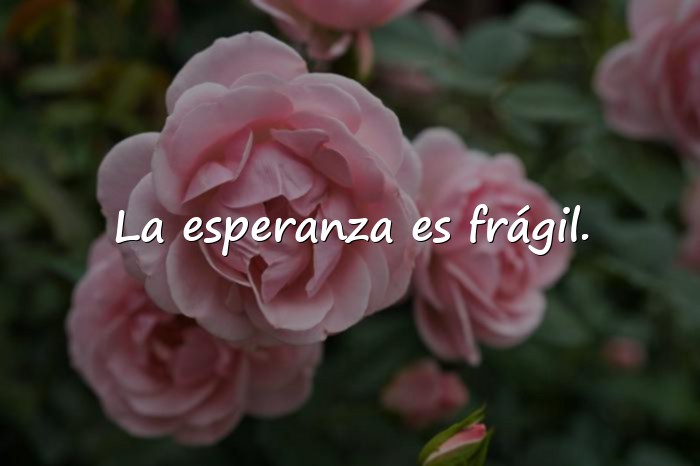 Imágenes bukowski frases - 16