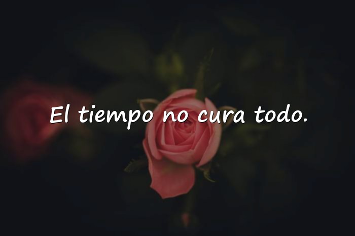 Imágenes bukowski frases - 11