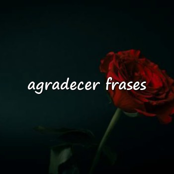 agradecer frases - 2026