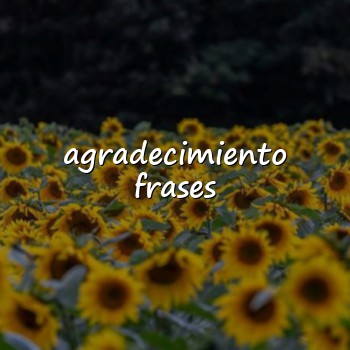 agradecimiento frases - 2026