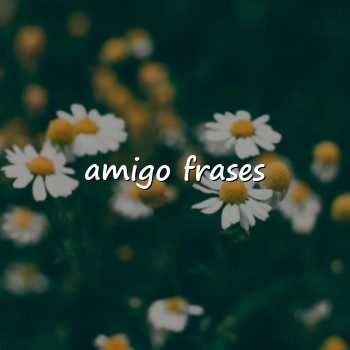 amigo frases - 2026