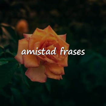 amistad frases - 2026