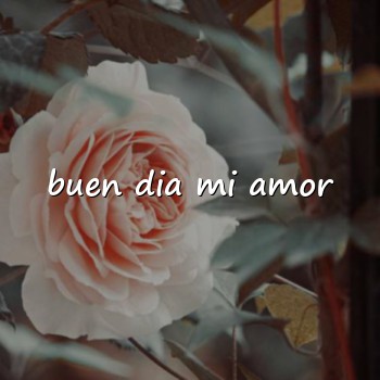 buen dia mi amor - 2026