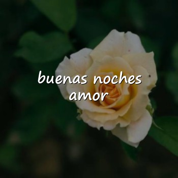 buenas noches amor - 2026