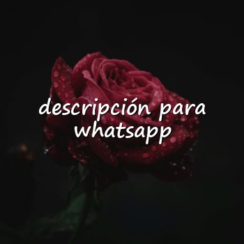 descripción para whatsapp - 2026
