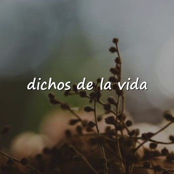 dichos de la vida - 2026