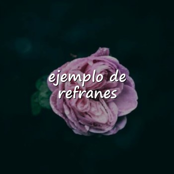 ejemplo de refranes - 2026