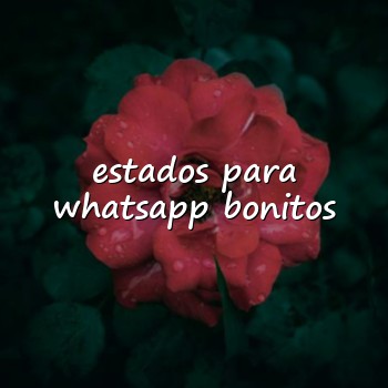 estados para whatsapp bonitos - 2026